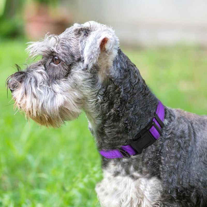 Joytale Reflective Dog Collar,Soft Neoprene Padded Breathable Nylon Pet Collar Adjustable for Small Dogs,Purple,S - Image 2